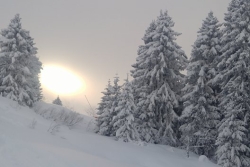 1ère sortie du Ski Club - Saison 2017 / 2018