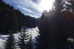 Sortie Morzine - 14 Janvier 2018