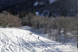 Les houches 2019