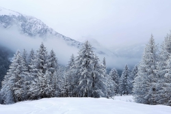 Bardonecchia 2019