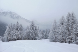 Bardonecchia 2019