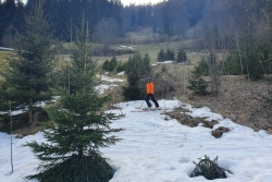 Morzine été février 2021