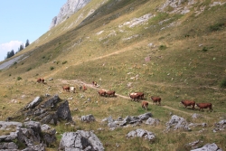 Rando à la dent d'oche