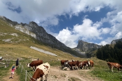 Rando à la dent d'oche bis