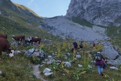 Rando à la dent d'oche bis