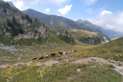 Rando à la dent d'oche bis