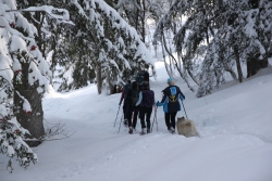 Avoriaz fevrier 2026