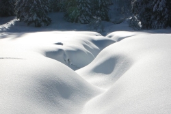 Avoriaz fevrier 2026