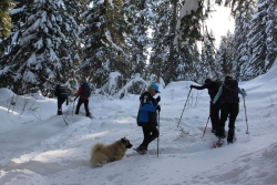 Avoriaz fevrier 2026