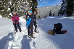 Avoriaz fevrier 2026