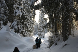 Avoriaz fevrier 2026 bis