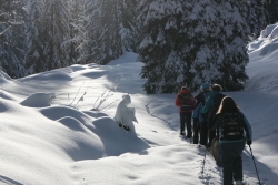 Avoriaz fevrier 2026 bis