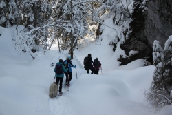 Avoriaz fevrier 2026 bis