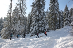 Avoriaz fevrier 2026 bis