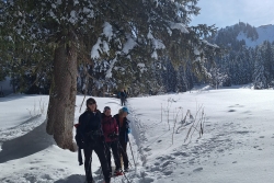 Avoriaz fevrier 2026 quatro