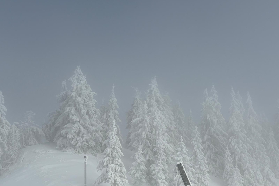 Morzine le pleney janvier 2026 ter