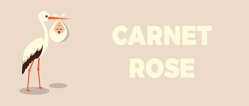 Carnet Rose
