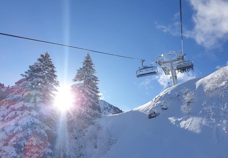 sondage du ski club
