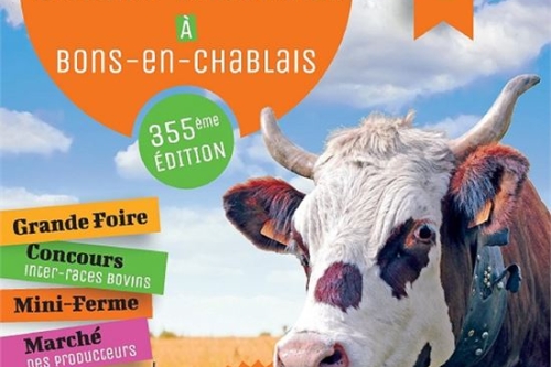 Foire de la Saint Martin - 17 novembre 2018
