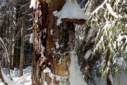 Morzine janvier 2020