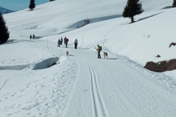 le mont chery 2020