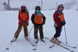 chatel 2014