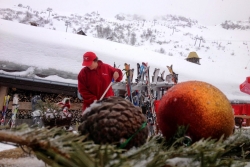 chatel 2014