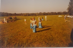 1986