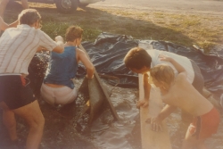1986