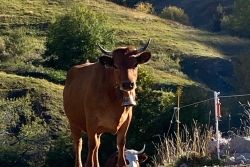 Rando au mont lachat