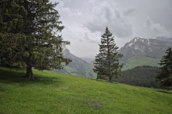 Rando 9 juin col de merdassier