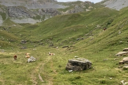 Rando 2024 au grand chavalard