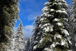 Avoriaz 2025