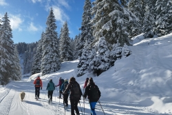 Avoriaz 2025 ter