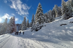 Avoriaz 2025 ter