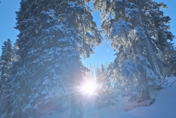 Avoriaz 2025 quatro