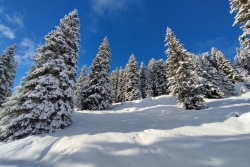 Avoriaz 2025 quatro