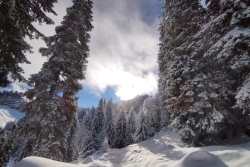 Avoriaz 2025 quatro
