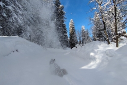 Avoriaz 2025 quatro