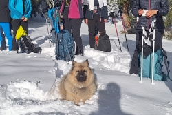 Avoriaz 2025 quatro