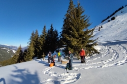Morzine 2 février ter