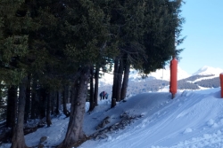 Morzine 2 février ter