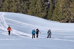 Morzine 2 février ter