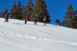 Chatel 2025 ter