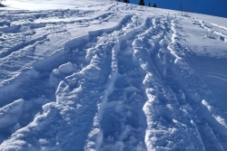 Chatel 2025 ter