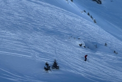 Chatel 2025 ter