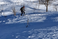 Chatel 2025 ter