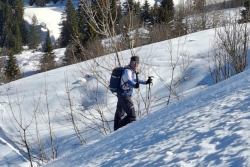 Chatel 2025 ter