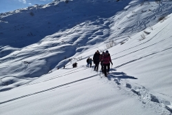 Chatel 2025 ter