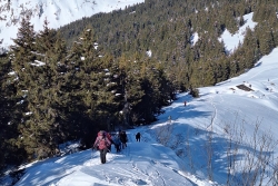 Chatel 2025 ter